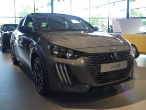 PEUGEOT E 208 at Fussell Wadman Ltd Devizes