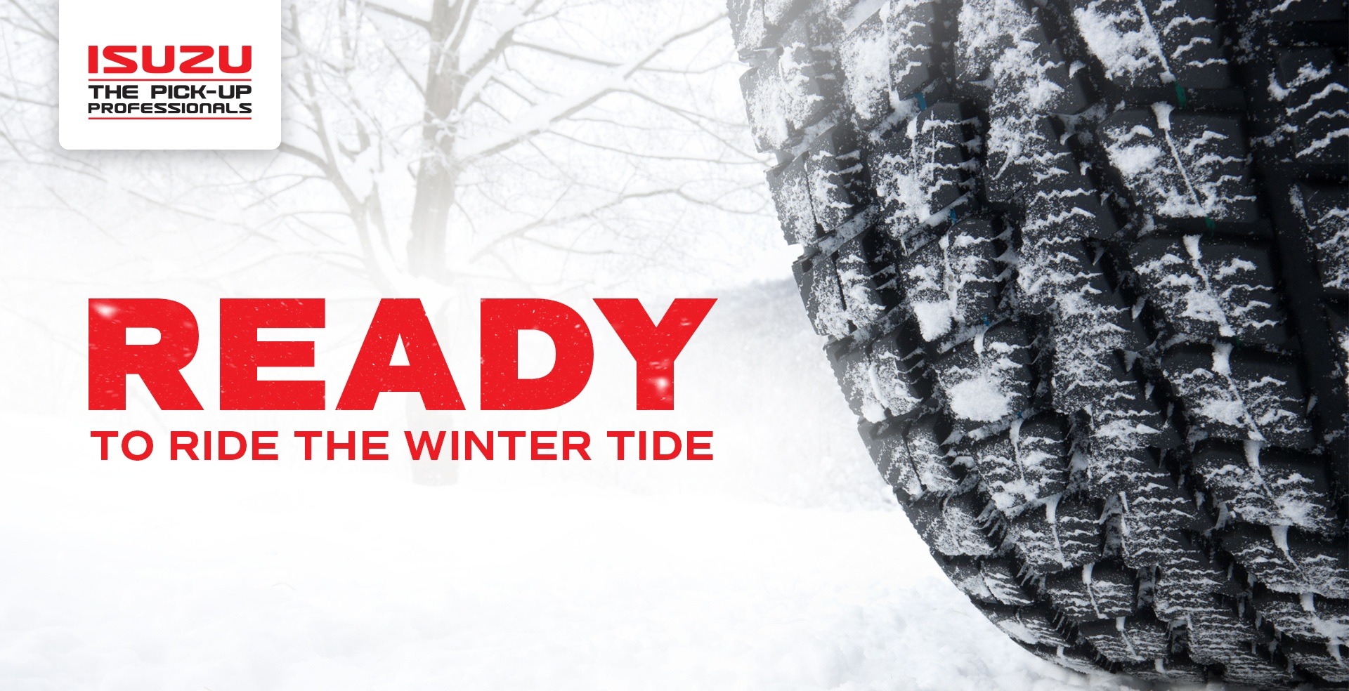 Ready to ride the winter tide