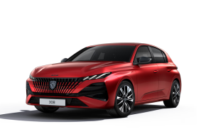 PEUGEOT 308 HATCHBACK at Fussell Wadman Ltd Devizes