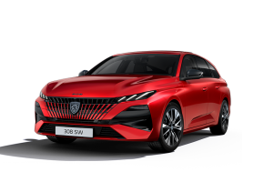 PEUGEOT 308 SW ESTATE at Fussell Wadman Ltd Devizes